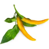 Click & Grow Click and Grow -- Smart Garden Refill 3-pack Yellow Chili Pepper