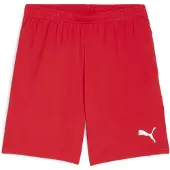 Puma GOAL Training Short