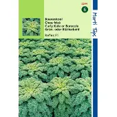 Hortitops 2 stuks - Hortitops - Boerenkool Reflex F1