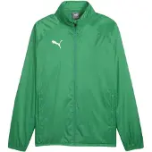 Puma Sportjas 'TeamGoal' groen / wit