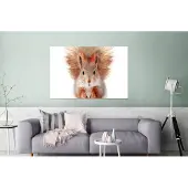 MuchoWow Wanddecoratie Metaal - Aluminium Schilderij Industrieel - Eekhoorn - Dieren - Natuur - Oranje - Wit - 180x120 cm - Dibond - Foto op aluminium - Industriële muurdecoratie - Voor de woonkamer/slaapkamer