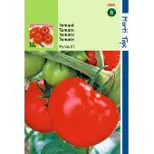 Hortitops 2 stuks Tomaten Pyros F1