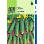 Hortitops - 2 stuks Augurken Profi F1