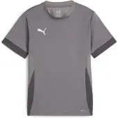 Puma Teamgoal wedstrijdshirt, korte mouwen, voor kinderen - grijs