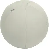 Leitz Active Antislip Zitbal 55 Cm