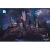 Merkloos Poster Harry Potter Hogwarts 91,5x61cm