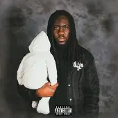 Coast2Coast Cedje - Platinum In The Streets (CD)