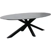 AVH-Collectie Puccini dining tuintafel 220x120 cm ovaal keramisch blad