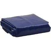 vidaXL Dekzeil 650 g/m² 5x6 m blauw