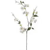 Emerald Kunstbloem Perzik bloesem - 80 cm - creme - Kunstbloemen