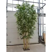 Maxifleur Kunstplanten Bamboe deluxe kunstboom op plaat 400cm