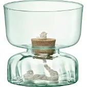 LSA International - Canopy Vaas met Bewateringsysteem 22 cm - Transparant / Glas
