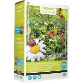 Intratuin Buzzy Friendly Flowers Mix Lieveheersbeestjes 50 M2