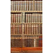 Dimex Fotobehang - Library 150x250cm - Vliesbehang