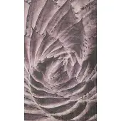 Dimex Fotobehang - Cactus Abstract 150x250cm - Vliesbehang