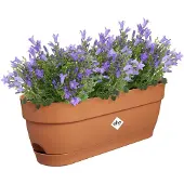 Elho Vibia campana balkonbak 50cm terra - elho