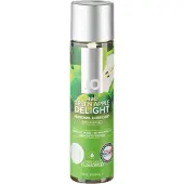 System Jo - H2O - glijmiddel op waterbasis - groene appel (120 ml)