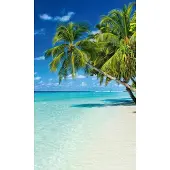 Blokker Dimex Paradise Beach Vlies Fotobehang 150x250cm 2-banen
