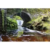 Dimex Fotobehang - Ireland 375x250cm - Vliesbehang
