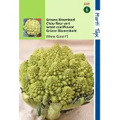 Hortitops 2 stuks Bloemkool Minaret, Groene Romanesco