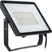Philips ProjectLine 8719514954564 LED-schijnwerper 100 W Lichtkleur (naam): Natuurwit