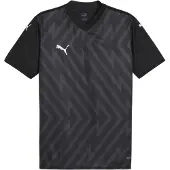 Puma teamGLORY Voetbalshirt Zwart Wit Grijs