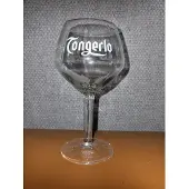Ayano Tongerlo - bierglas - 20-25 cl - set van 2 glazen