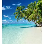 Dimex Fotobehang - Paradise Beach 225x250cm - Vliesbehang