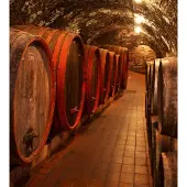 Dimex Fotobehang - Wine Barrels 225x250cm - Vliesbehang