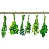 Dimex Fotobehang - Herbs 225x250cm - Vliesbehang