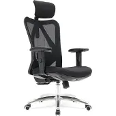LifeGoods Ergonomische Bureaustoel - Office Chair - Volwassenen - Verstelbaar - Hoofdsteun - Zwart/Chroom