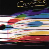 Carpenters - Passage (Remastered) (180 g) (LP)