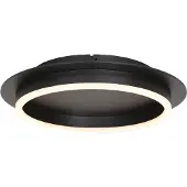 Steinhauer Plafondlamp Ringlux Zwart