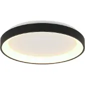 Steinhauer Plafondlamp Ringlede 28cm Zwart rond dimbaar 1600 lumen