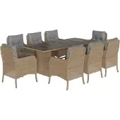 vidaXL 9-delige Tuinset met kussens poly rattan beige