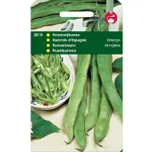 Tuinplus 5 stuks - Tuinplus - Pronkbonen Emergo Stringless (Witte Zonder Draad)