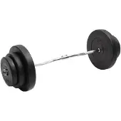 vidaXL Halter gebogen met gewichten 60 kg