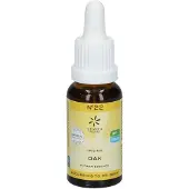 Bach Bloesems Original Nr. 22 Oak | 20 ml