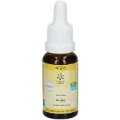 Bach Bloesem Pine bio
