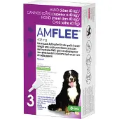 Amflee Spot-on Hond