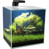 Ciano Aquarium Cube 15 LED Zwart