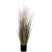 Mica Decorations dogtail gras paars in plastic pot dia in cm: 12 - 90