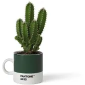 Copenhagen Espressokop Copenhagen Design Pantone Dark Green 120 ml