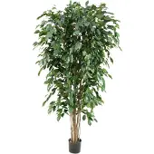 Maxifleur Ficus Exotica Deluxe 180 cm groen FR