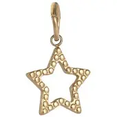 Go Dutch Label Hanger open star Goud