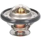 THERMOTEC Thermostaat, koelvloeistof D2DE001TT