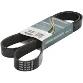 DAYCO V-riem 8PK1500HD