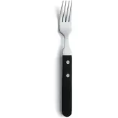 Amefa Steakvork 12x