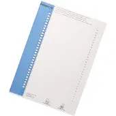 Pierre by Elba ruiterstrook type 9 blauw (10 vel)