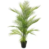 Nova Nature Areca dypsis in pot green 93cm |